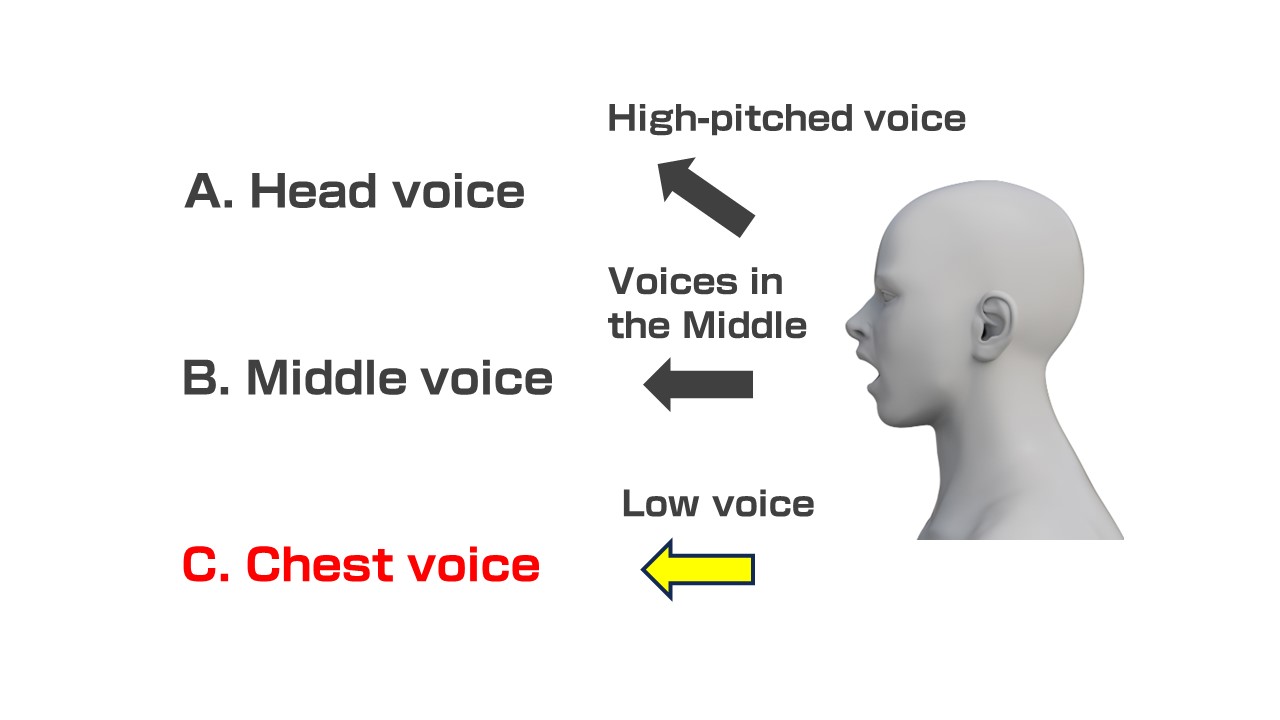 Best type of voice and speaking style for inside sales IAD Marketing Blog